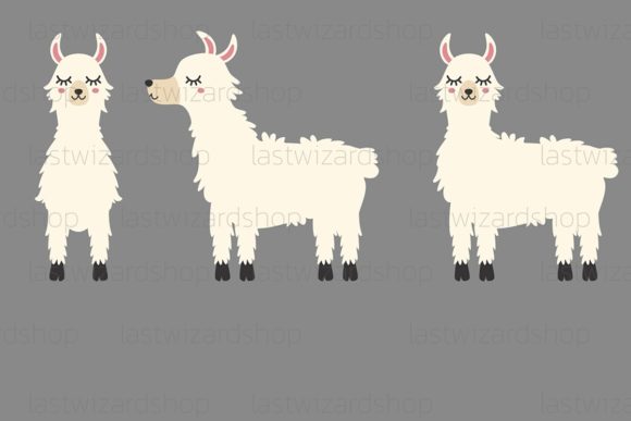 Review: White Llama Svg & Cute Alpaca Svg for Embroidery